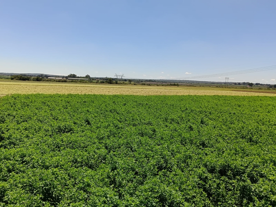 8 Bedroom Property for Sale in Brits Rural North West